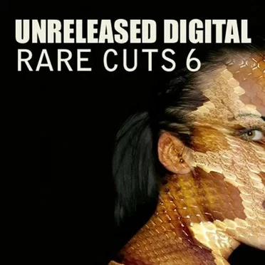 Rare Cuts 6 - Chronicles by Various Artists - album cover