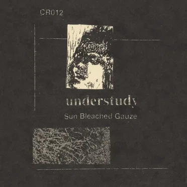 Sun Bleached Gauze by Understudy - album cover