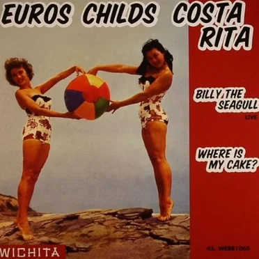 Costa Rita by Euros Childs - album cover