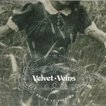 Bound to pretend by Velvet Veins - album cover