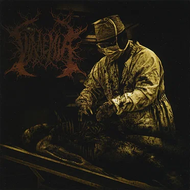 Viraemia by Viraemia - album cover