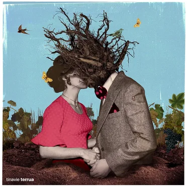 Terrua by Tinavie - album cover