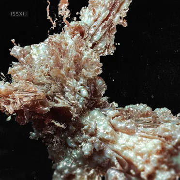 ISSXI.I | EP1 by Various Artists - album cover