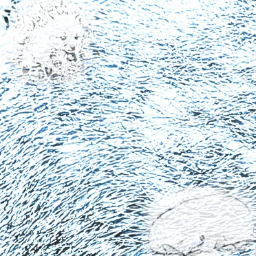 i still carry every memory we shared, every promise we made, holding them close to my heart-yet i know you see neither them nor me