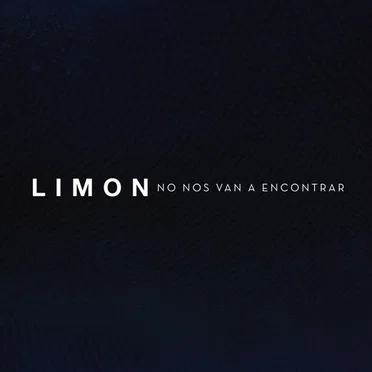 No nos van a encontrar by LIMON - album cover
