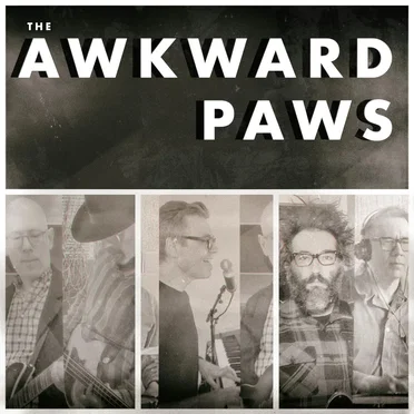 It Must Be Summer by The Awkward Paws - album cover