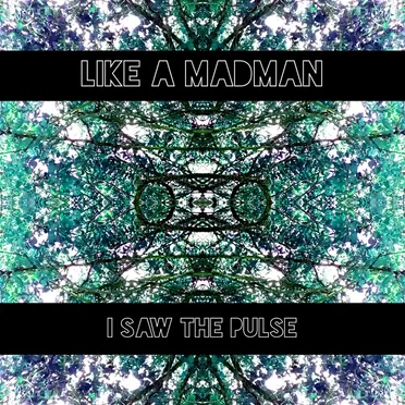 I Saw The Pulse
