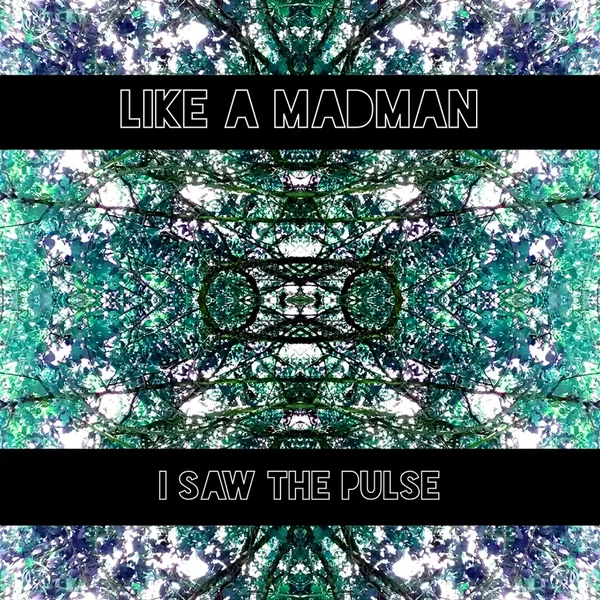 I Saw The Pulse