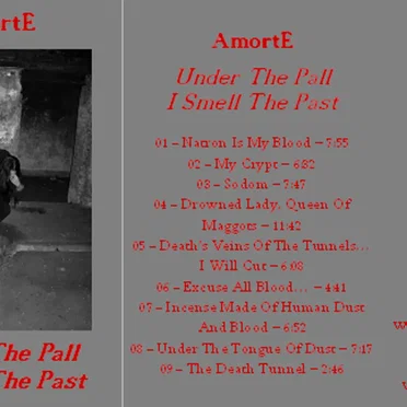Under the Pall I Smell the Past by AmortE - album cover