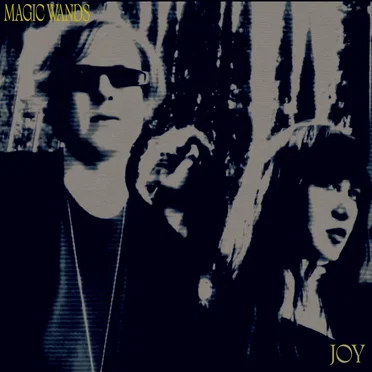 Joy by Magic Wands - album cover