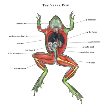 The Verve Pipe