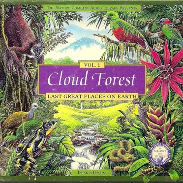 Cloud Forest