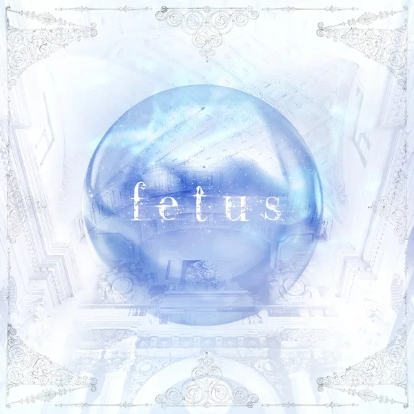 fetus