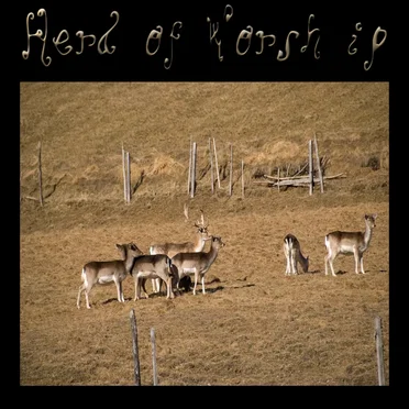 XCI. A Wounded Deer Leaps Highest by Herd of Worship - album cover