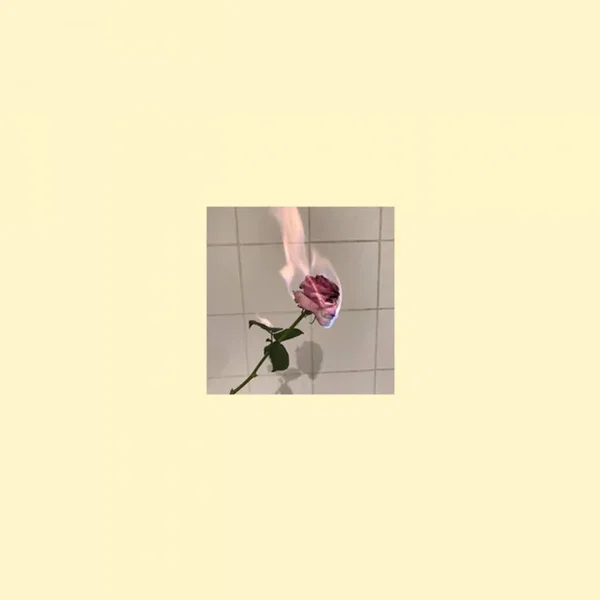 Love Wounds