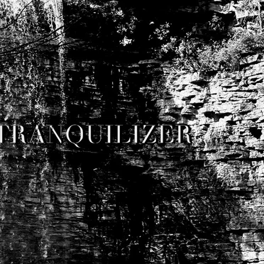 Tranquilizer