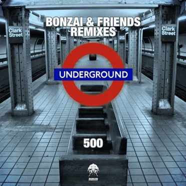 Bonzai & Friends (Remixes) by Various Artists - album cover