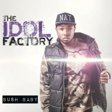 The Idol Factory by Bush Baby - album cover