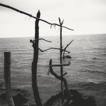 Ritual: Solitude by Rotting Eternity - album cover