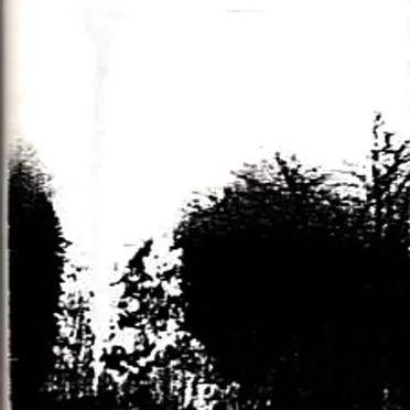 From the Wind