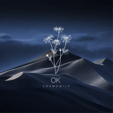 Grains of Time by OK Chamomile - album cover