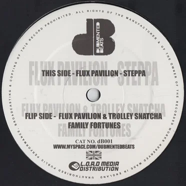 Family Fortunes / Steppa