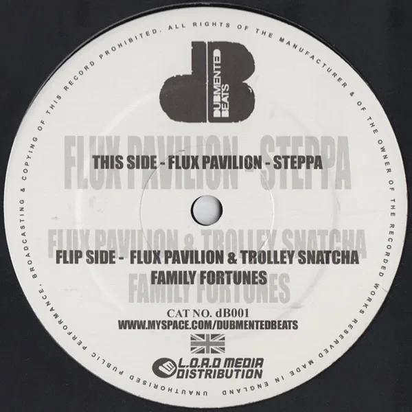 Family Fortunes / Steppa