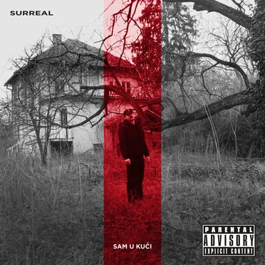 Sam u kući by Surreal - album cover