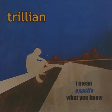 I Mean Exactly What You Know by Trillian - album cover