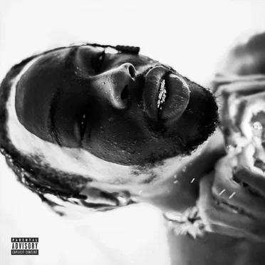 Peine 333 by Geeeko - album cover