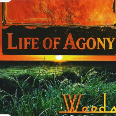 Weeds by Life of Agony - album cover
