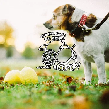 When Life Gives You Lemons… The Alcopop! Records Class of 2017/18 by Various Artists - album cover