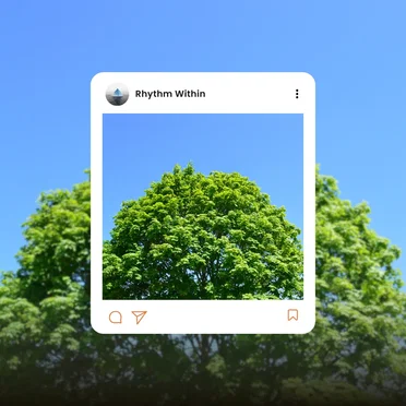 Rhythm Within