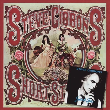Short Stories by Steve Gibbons - album cover