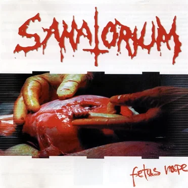 Fetus Rape by Sanatorium - album cover