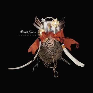 The Clearing by Bowerbirds - album cover