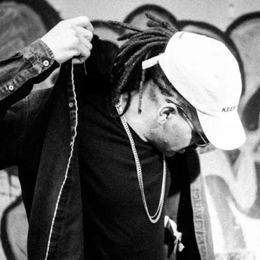 Nunca taque pedras na caixa de abelhas