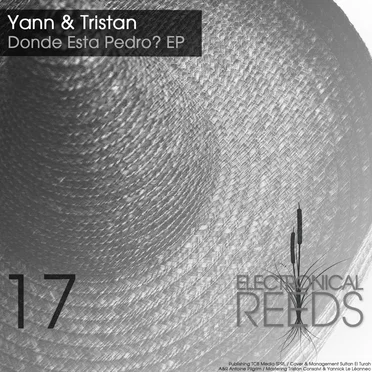 Donde Esta Pedro? EP by Yann & Tristan - album cover