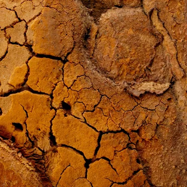 Scorched Earth