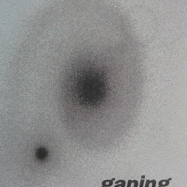 Paroxysm by Gaping Chasm - album cover