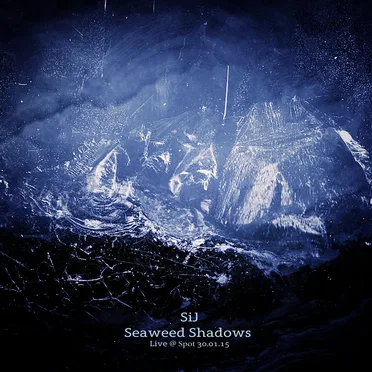 Seaweed Shadows: Live @ Spot 30.01.15