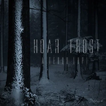 Hoar Frost by A Tergo Lupi - album cover