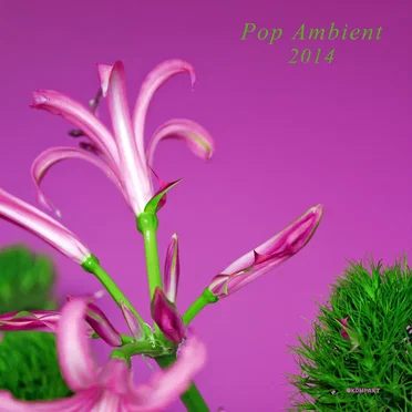 Pop Ambient 2014 by Various Artists - album cover