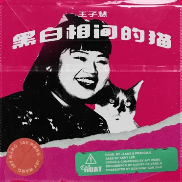 黑白相间的猫 (Cat in Tux) by Jay Wang - album cover