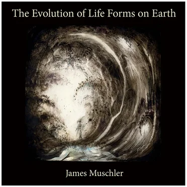 The Evolution of Life Forms on Earth by James Muschler - album cover