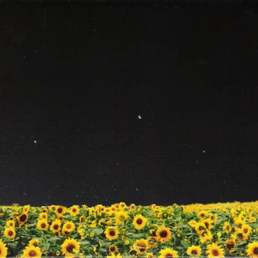 hikarihimawari by cruyff in the bedroom - album cover