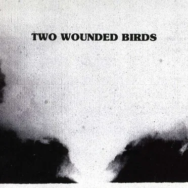 Two Wounded Birds by Two Wounded Birds - album cover