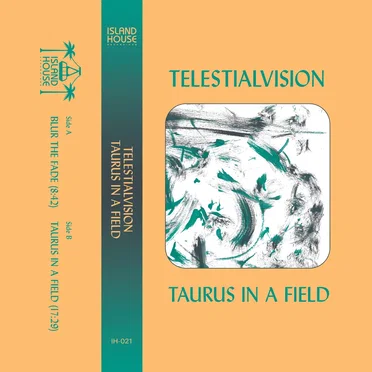 Taurus in a Field by TELESTIALVISION - album cover