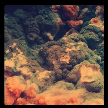 EP by Hear Hums - album cover