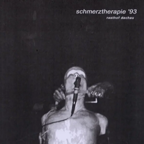 Schmerztherapie '93